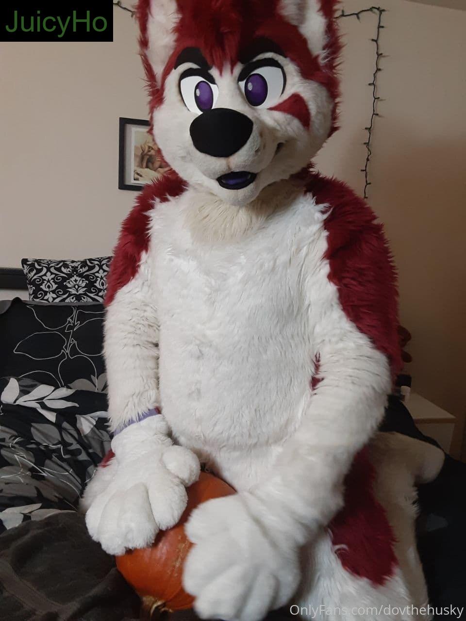 dovthehusky feet